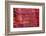 Rose Red Rock Tomb Facade, Street of Facades, Petra, Jordan-William Perry-Framed Photographic Print