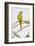 Rose ringed parakeet (Psittacula krameri) perching on branch, India-Panoramic Images-Framed Photographic Print