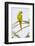 Rose ringed parakeet (Psittacula krameri) perching on branch, India-Panoramic Images-Framed Photographic Print