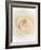 Rose (Rosa Sp.)-Gavin Kingcome-Framed Photographic Print