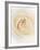 Rose (Rosa Sp.)-Gavin Kingcome-Framed Photographic Print