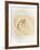 Rose (Rosa Sp.)-Gavin Kingcome-Framed Photographic Print