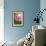 Rose (Rosa)-Maria Mosolova-Framed Photographic Print displayed on a wall