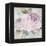 Rose Shimmer-Stefania Ferri-Framed Stretched Canvas