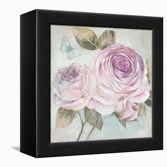 Rose Shimmer-Stefania Ferri-Framed Stretched Canvas