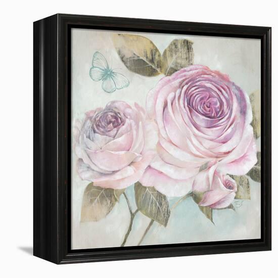 Rose Shimmer-Stefania Ferri-Framed Stretched Canvas