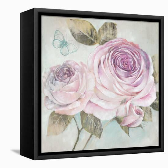 Rose Shimmer-Stefania Ferri-Framed Stretched Canvas