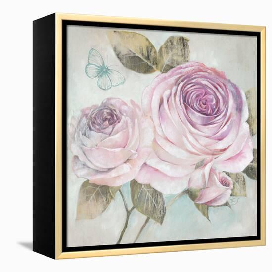 Rose Shimmer-Stefania Ferri-Framed Stretched Canvas