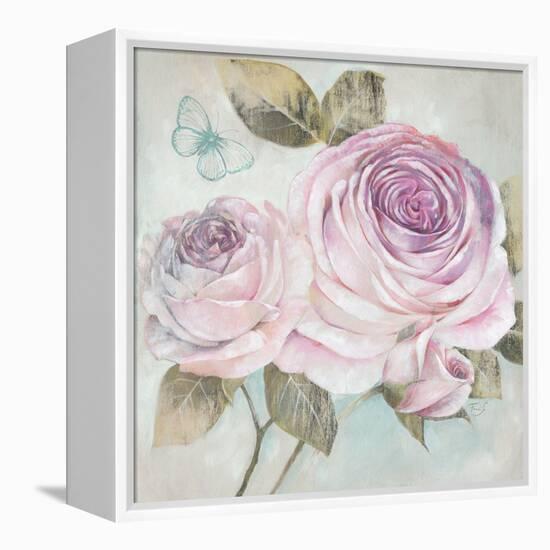 Rose Shimmer-Stefania Ferri-Framed Stretched Canvas