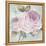 Rose Shimmer-Stefania Ferri-Framed Stretched Canvas