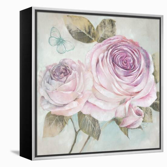 Rose Shimmer-Stefania Ferri-Framed Stretched Canvas