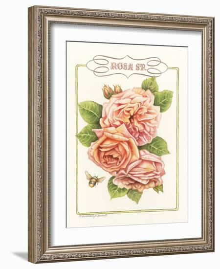 Rose Species-Gwendolyn Babbitt-Framed Art Print