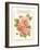 Rose Species-Gwendolyn Babbitt-Framed Art Print