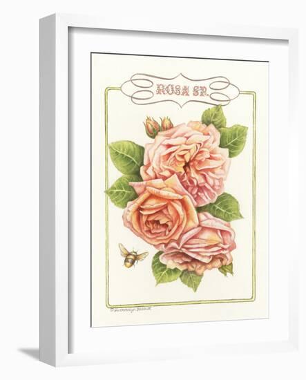 Rose Species-Gwendolyn Babbitt-Framed Art Print