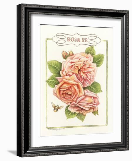 Rose Species-Gwendolyn Babbitt-Framed Art Print