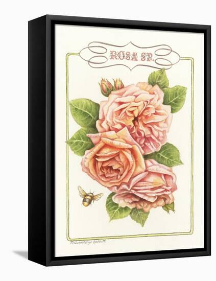 Rose Species-Gwendolyn Babbitt-Framed Stretched Canvas