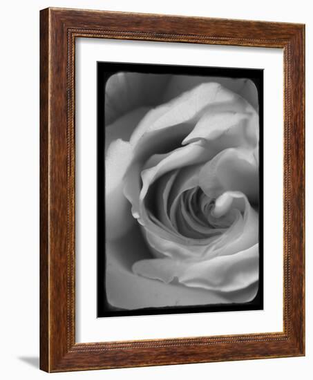 Rose Spiral I-Judy Stalus-Framed Photographic Print