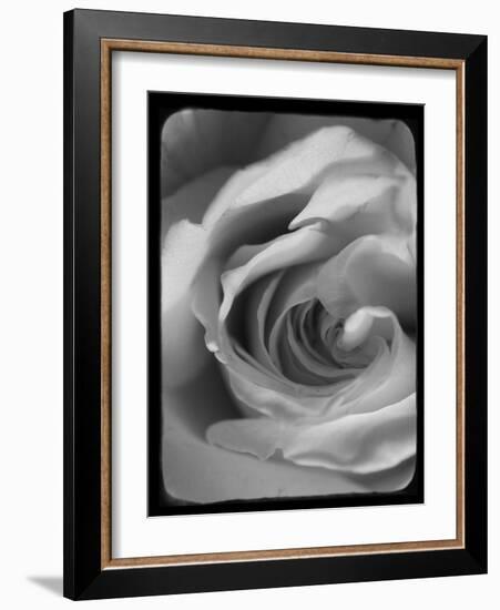 Rose Spiral I-Judy Stalus-Framed Photographic Print