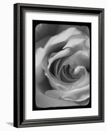 Rose Spiral I-Judy Stalus-Framed Photographic Print