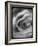 Rose Spiral I-Judy Stalus-Framed Photographic Print