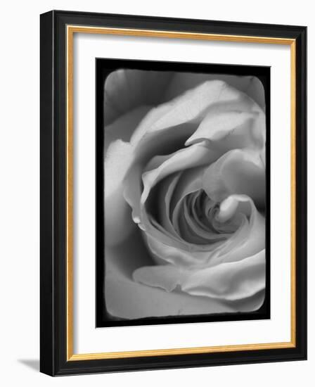 Rose Spiral I-Judy Stalus-Framed Photographic Print