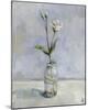 Rose Stem Study-Steven Johnson-Mounted Giclee Print