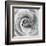 Rose Swirl II-null-Framed Art Print