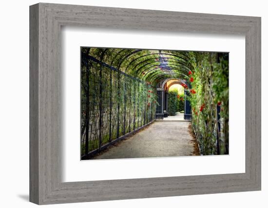 Rose Trellis In Schonbrunn Palace-George Oze-Framed Photographic Print