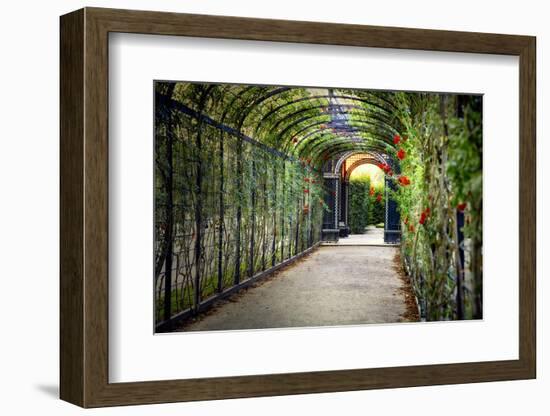 Rose Trellis In Schonbrunn Palace-George Oze-Framed Photographic Print