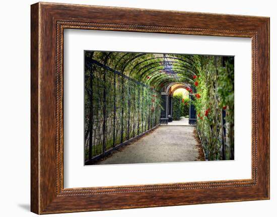 Rose Trellis In Schonbrunn Palace-George Oze-Framed Photographic Print