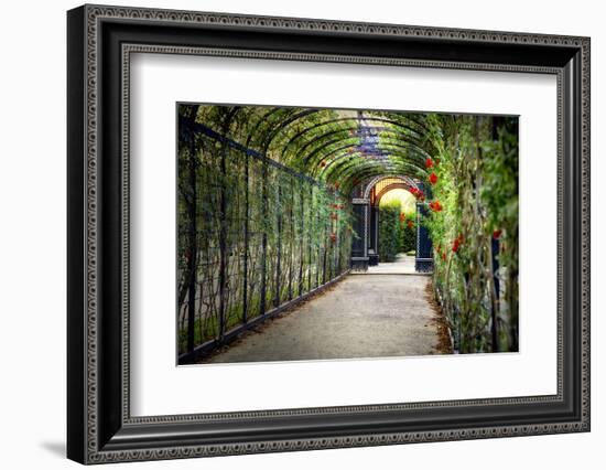 Rose Trellis In Schonbrunn Palace-George Oze-Framed Photographic Print