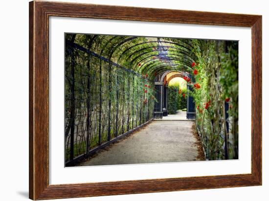 Rose Trellis In Schonbrunn Palace-George Oze-Framed Photographic Print