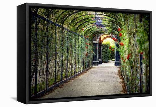 Rose Trellis In Schonbrunn Palace-George Oze-Framed Premier Image Canvas
