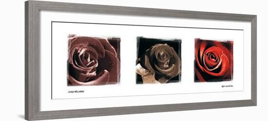 Rose Trio-Ilona Wellmann-Framed Art Print