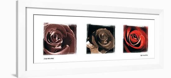 Rose Trio-Ilona Wellmann-Framed Art Print