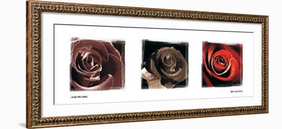 Rose Trio-Ilona Wellmann-Framed Art Print