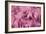 Rose Up Close II-Lee Peterson-Framed Photographic Print