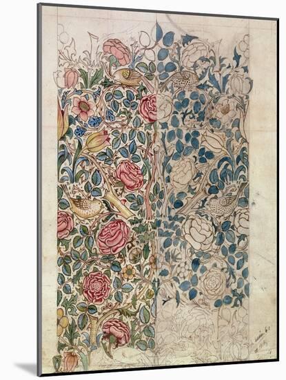 Rose' Wallpaper Design (Pencil and W/C on Paper)-William Morris-Mounted Giclee Print