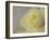 Rose Whisper II-Judy Stalus-Framed Photographic Print