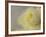 Rose Whisper II-Judy Stalus-Framed Photographic Print