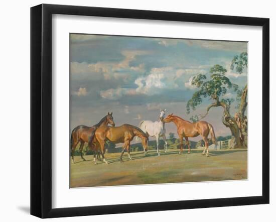 Rose, Wildbird, Peggy and Stockings-Sir Alfred Munnings-Framed Premium Giclee Print