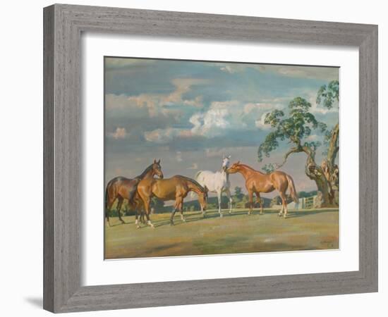 Rose, Wildbird, Peggy and Stockings-Sir Alfred Munnings-Framed Premium Giclee Print