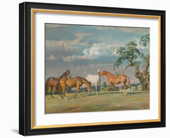 Rose, Wildbird, Peggy and Stockings-Sir Alfred Munnings-Framed Premium Giclee Print