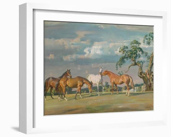 Rose, Wildbird, Peggy and Stockings-Sir Alfred Munnings-Framed Premium Giclee Print