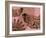 Rose Wine Blush-Belen Mena-Framed Giclee Print