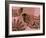 Rose Wine Blush-Belen Mena-Framed Giclee Print