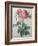 Rose with a Hundred Leaves and Foliage-Pierre-Joseph Redoute-Framed Art Print