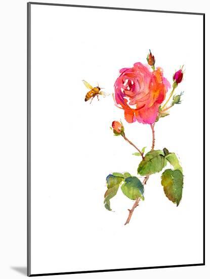 Rose with Bee, 2014-John Keeling-Mounted Giclee Print