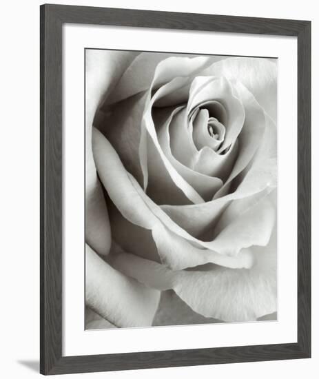 Rose-Steven N^ Meyers-Framed Art Print