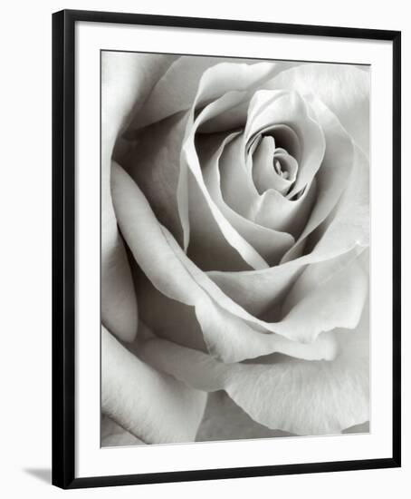 Rose-Steven N^ Meyers-Framed Art Print